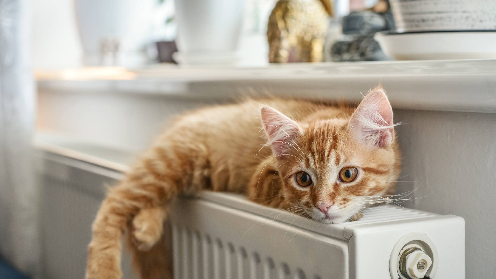 inteligentne ogrzewanie w nowoczesnych wnętrzach ze smart termostatem keemple